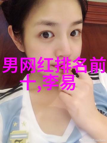 风华尽头的岛国台湾的未来探索