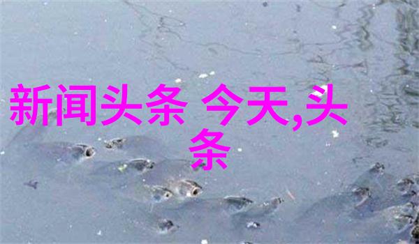 影视盛宴揭秘3132影视的传奇故事