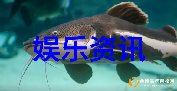 吴秀波与唐艺昕实锤天涯探究当代舞蹈艺术中的跨界合作与创新