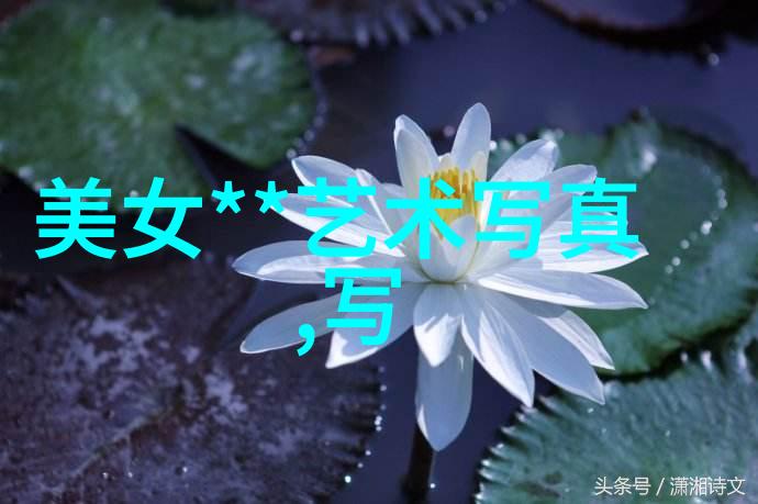 古典文学改编-金瓶梅荡气回肠的银屏重演