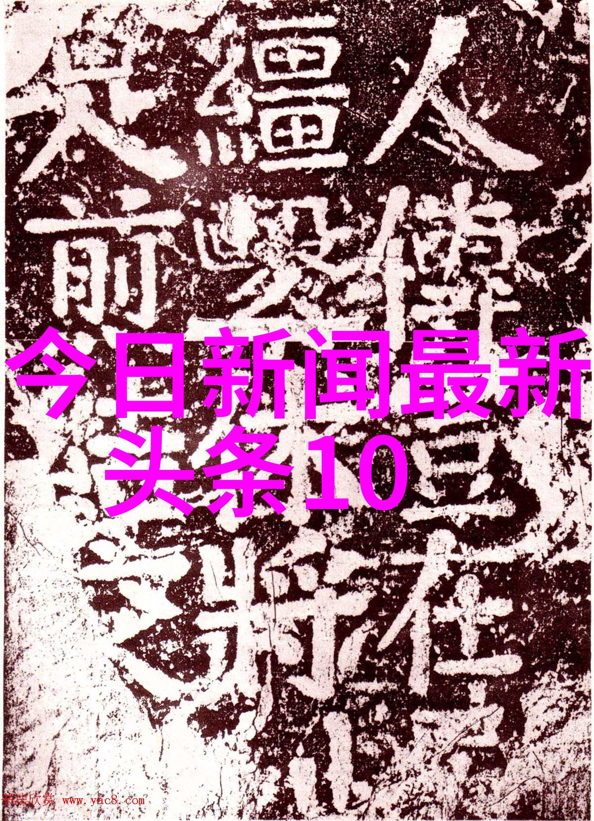 百丽颂116位女神的魅力与光芒