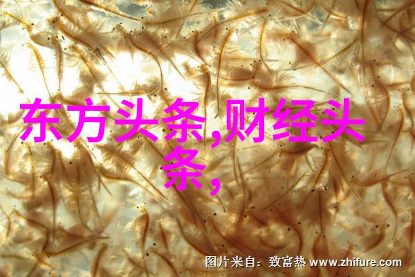 夏日时尚我是如何拍出完美比基尼写真的