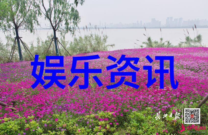 带符号的网名可复制繁体字昵称大师精选繁体字昵称让你在网络世界中脱颖而出