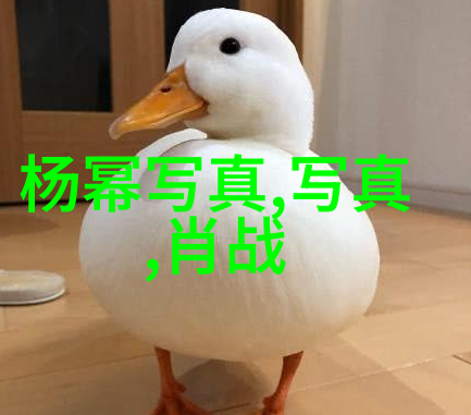 如何在手机上下载并安装雪梨直播app