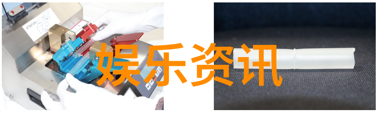 江苏综艺频道我是如何在周末找到了生活的乐趣