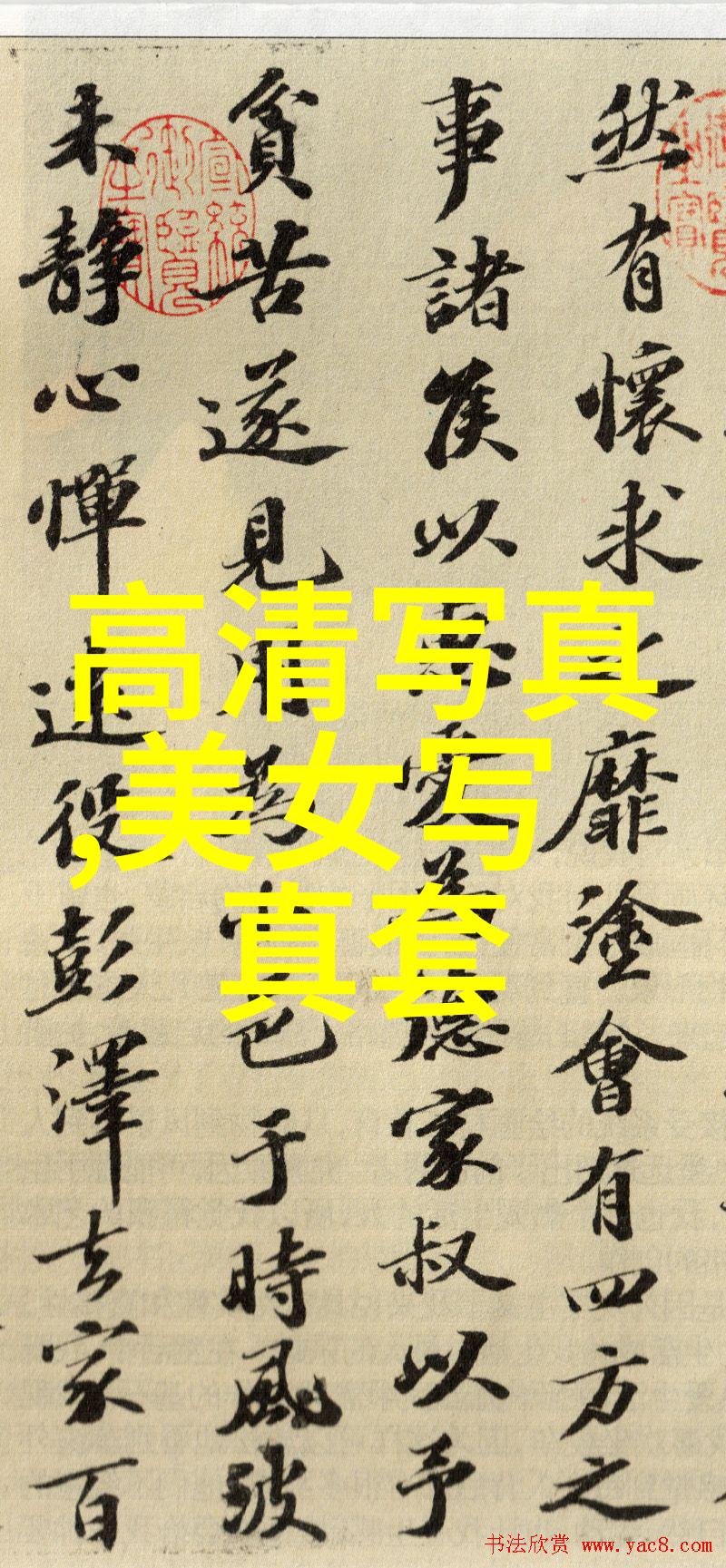 解读小妇人电影免费观看现象正版文化消费的社会经济考量与技术变革影响
