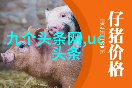 广西综艺旅游频道精选向往的生活第五季三兄妹共筑梦想种树劳动趣事多相处氛围温馨动人
