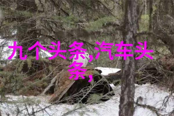 双人床上打扑克视频全程浪漫夜晚的牌桌对决