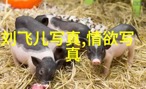 蝶恋花直播APP下载安装指南轻松入手享受美丽世界