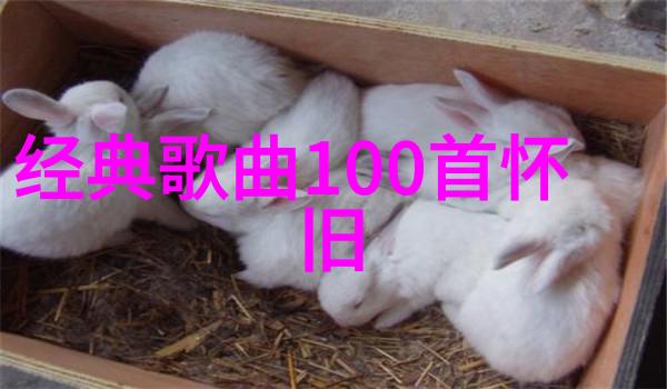 手机上流行的电视剧类型是什么为什么这么流行