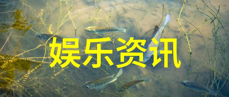 镜头下的千万种可能一张张漂亮图片告诉你什么是真正的艺术