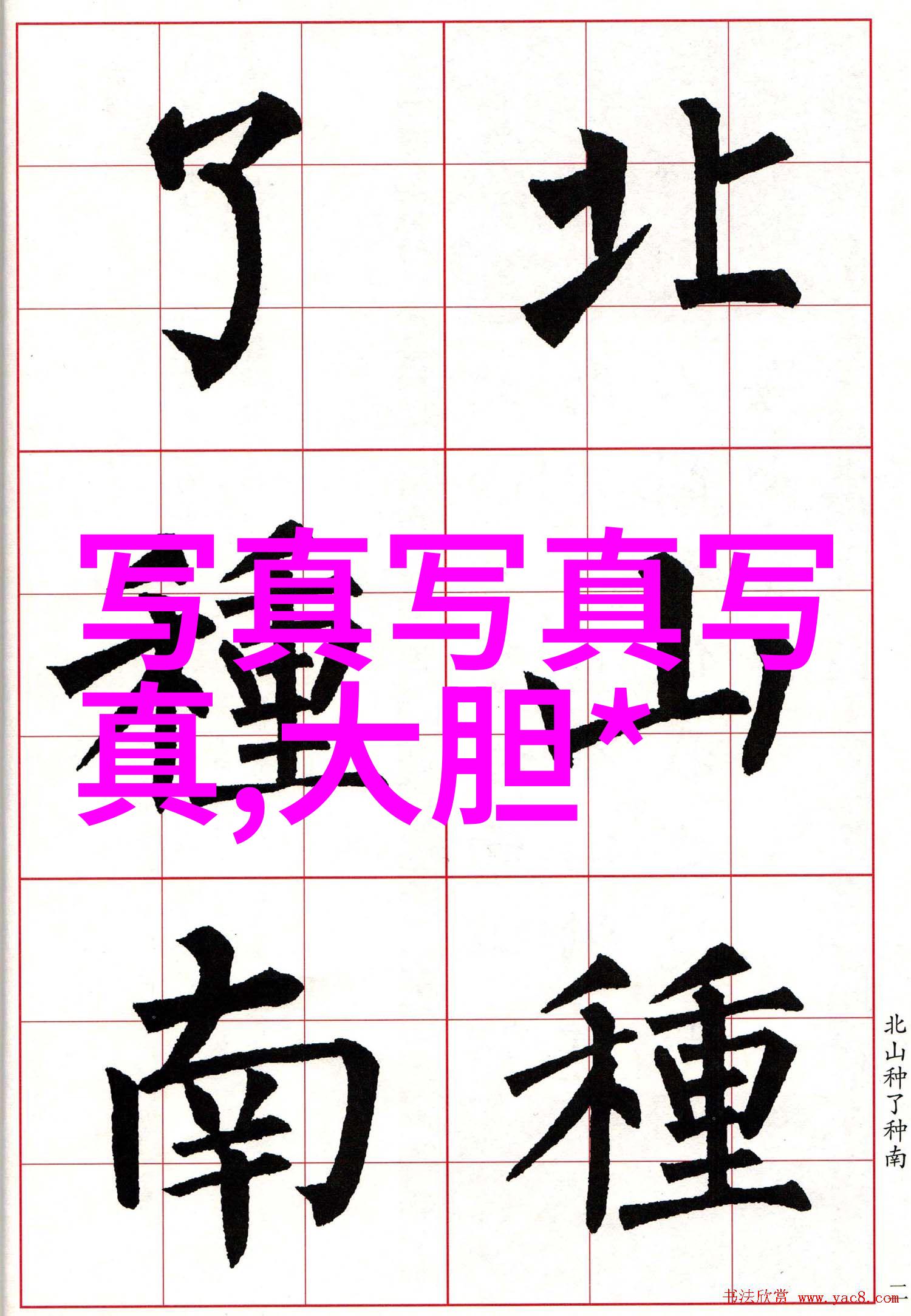五行八卦图片大全 正品-揭秘正品五行八卦图片大全古老智慧的现代展现