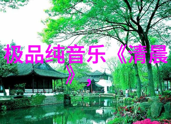 娱乐之轮绽放的星光与欢声笑语