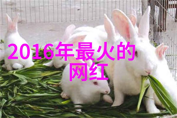 妈妈背后的秘密