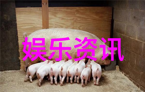 抖音最火的十大神曲 - 逆袭之歌探索抖音上最具爆款力的十首音乐