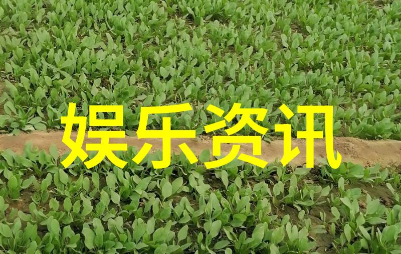 北京东方时尚驾校摩天大楼间的计程车骑士