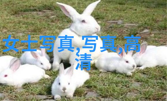 今日头条极速版官网探秘快捷浏览的艺术