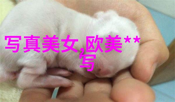 春季芭蕾舞裙指南轻盈优雅穿出独特风采