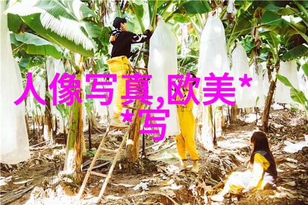 探秘今日头条官网洞察中国最火点播新闻平台的核心