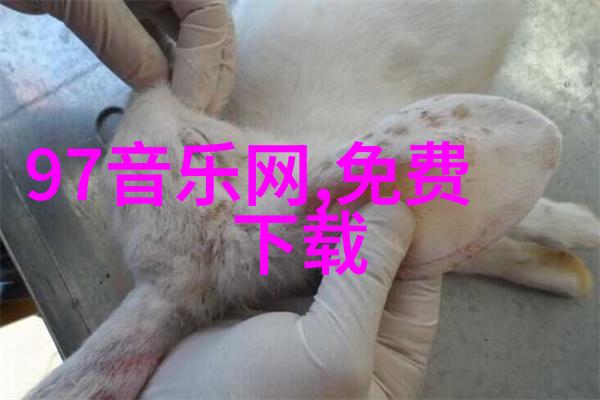 曲多多版权音乐官网如何保护艺术家的作品价值