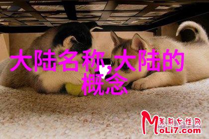 天干地支与八卦对应关系我来告诉你这八卦背后的秘密