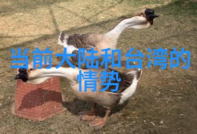 宋智雅恋爱综艺我是宋智雅的粉丝这部综艺你绝对看不腻