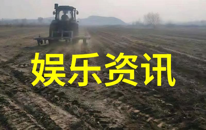 芋头条美味家常芋头菜谱