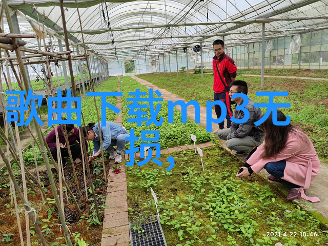 网易娱乐清穿日常李薇原型人物介绍揭秘她的人物形象