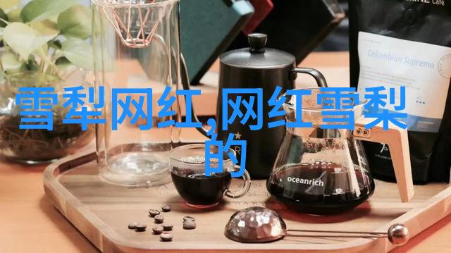 光棍影视揭秘山河月明中的铁铉真面目究竟是怎样的他背后的故事和选择让人既惊讶又心疼