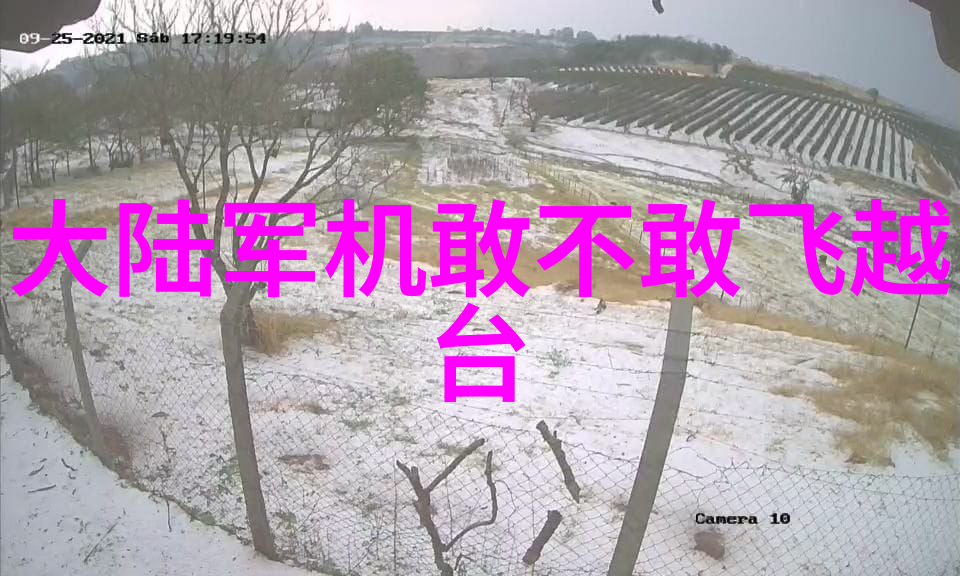 班长的哭喊C班的悲剧与反思