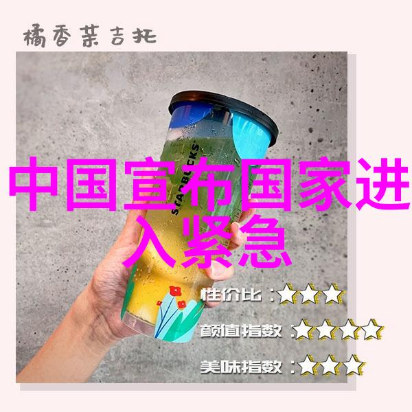 搅乱未知的翻译世界用我的手指操控语言的边界