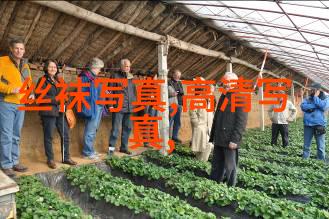 春季必备男装单品更新你的衣橱追逐最新潮流