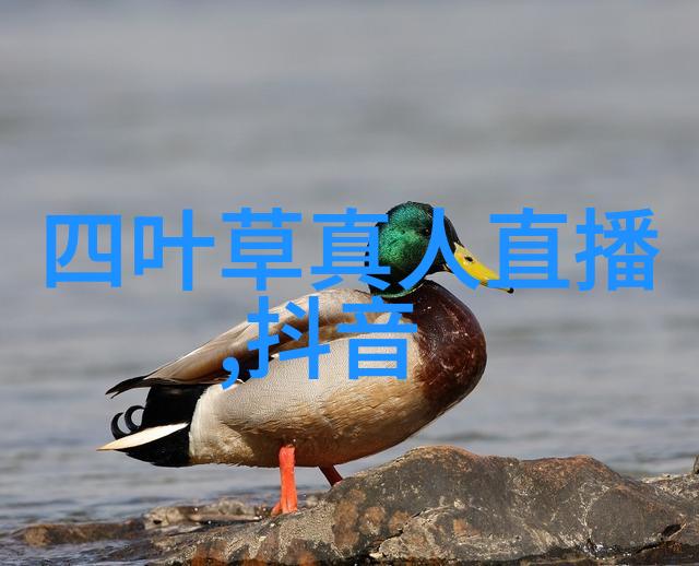 她是谁背后故事何在116位美女写真的秘密