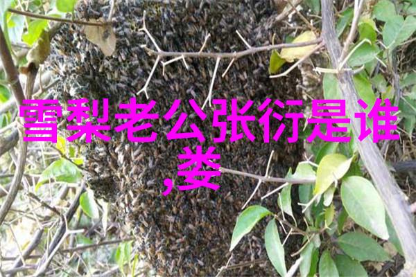 国家敢动娱乐圈吗 - 政策引导文化正风行业自律新趋势