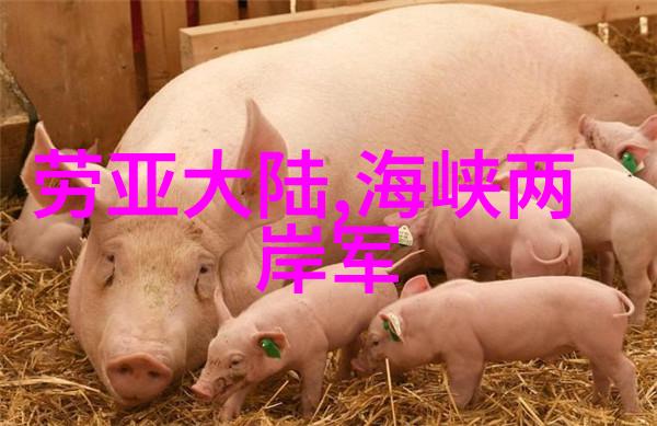 浪漫防线揭秘爱情保卫战综艺的魅力与挑战