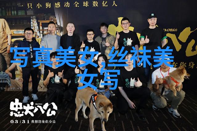 风水知识普及解读家宅八卦图的秘密