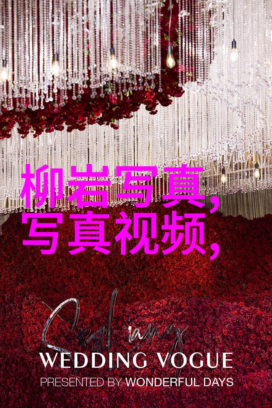 绽放的色彩探索世界各地的美景图片高清