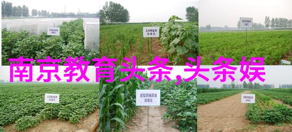 17313数字背后的故事是什么