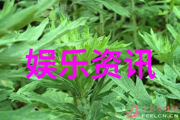 新视角下的古老世界在何种背景下提出了1915年大陆漂移说呢
