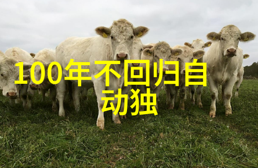 易经学习 - 探索心性修养与智慧追求什么样的人可以学易经