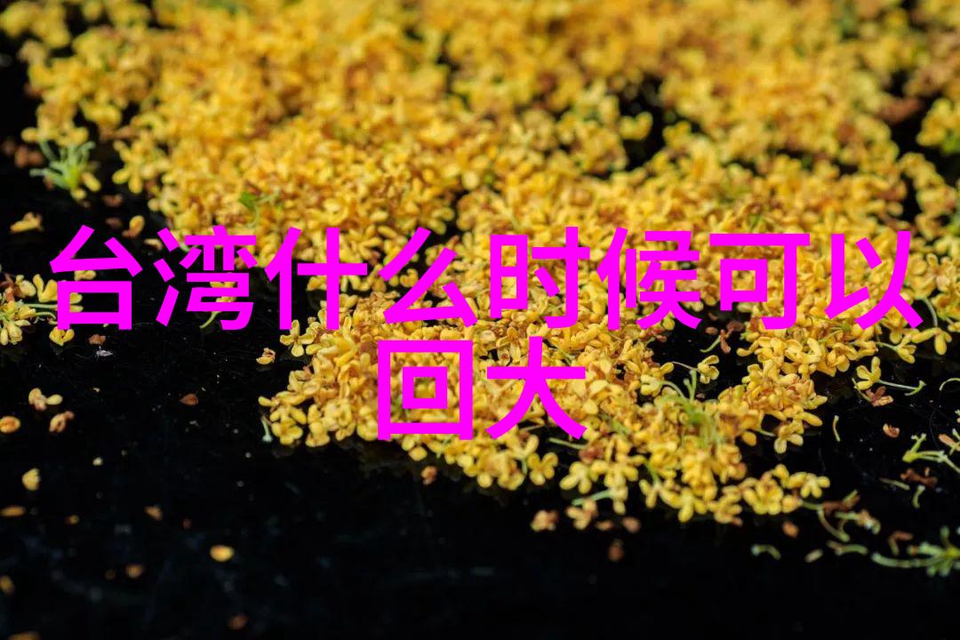 顶级无损音乐播放器app我的音频旅途伙伴