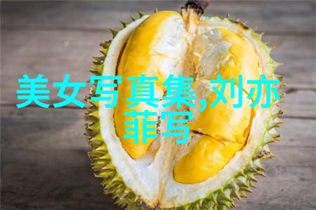 梦想游走探秘娱乐圈中的向往的生活追求者们