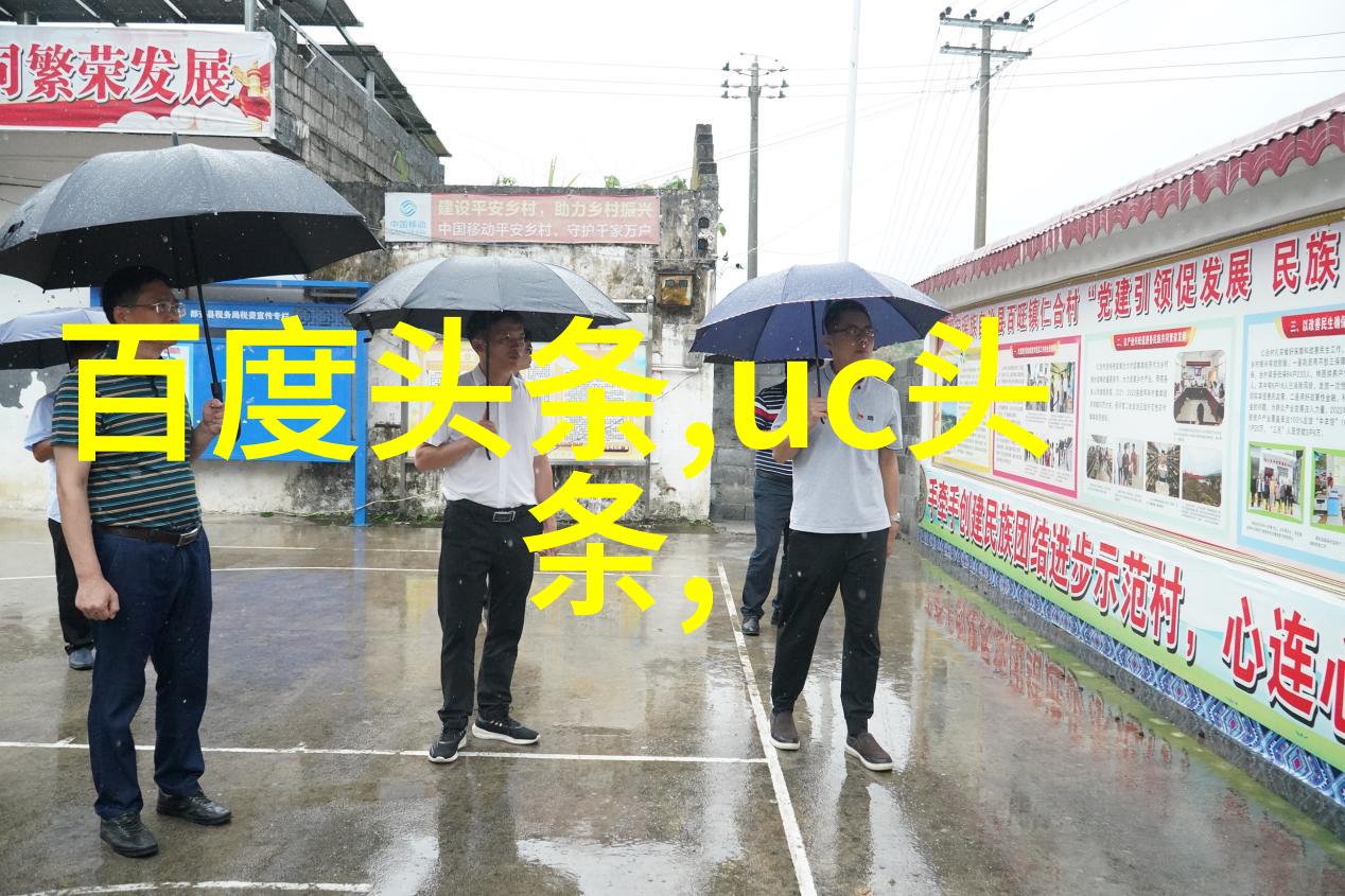 视觉盛宴摄影师的艺术旅程