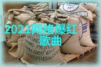 国外b站直播app - 海外观众的新宠探索国外Bilibili直播应用的兴起与影响