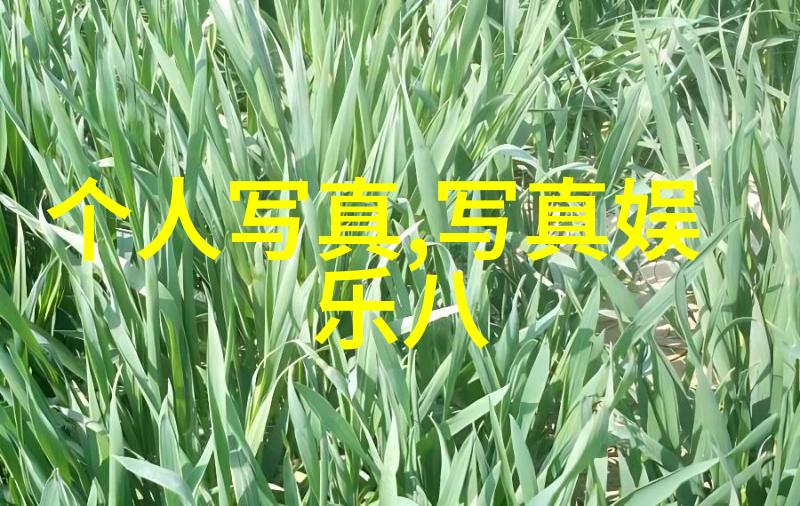 流离失所漂移的人生轨迹与无尽的寻觅
