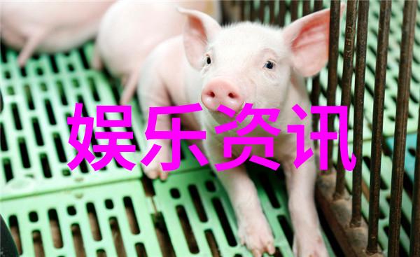 春日满园樱桃剧集的甜蜜盛宴