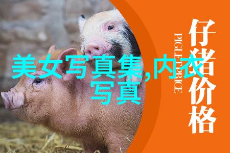 从无到有再到国际瞩目的焦点天美影视成长历程是怎样的体验