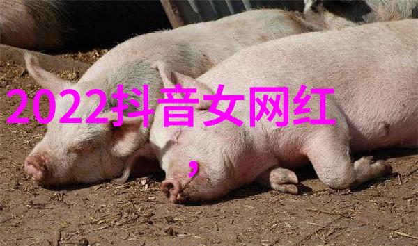 檀健次综艺风采展星光闪耀的舞台交响