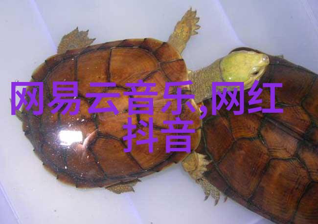 未来社会对于美少女美男等团体有什么看法他们在未来的角色又将是怎样