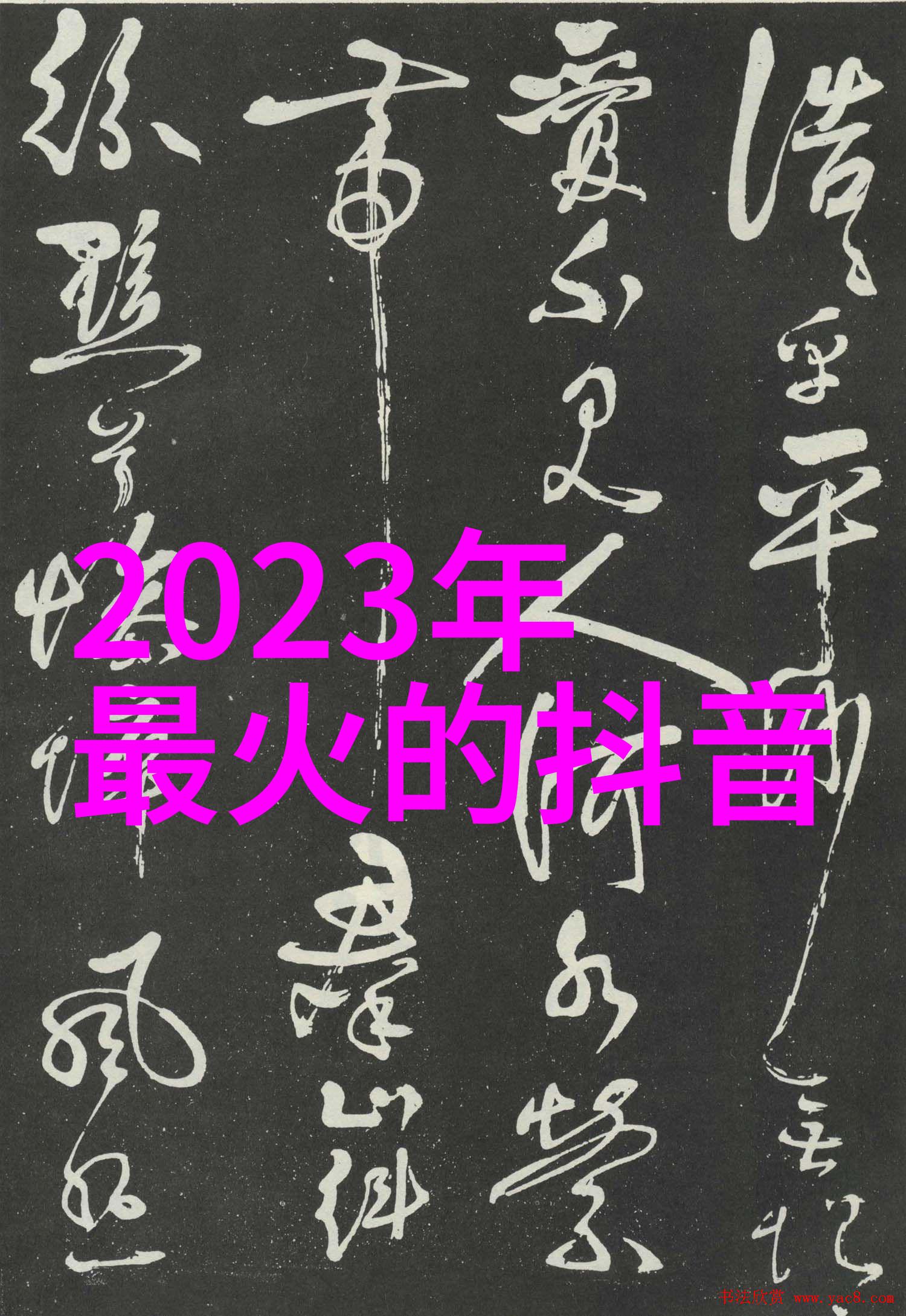 社区风貌透视小区图片中的真实故事